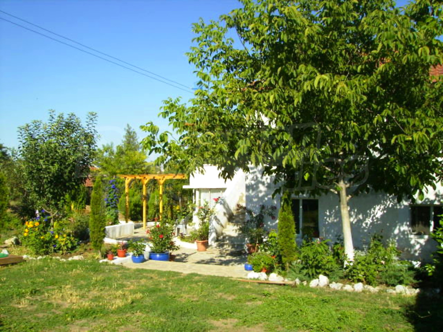 Gallery Picture 18