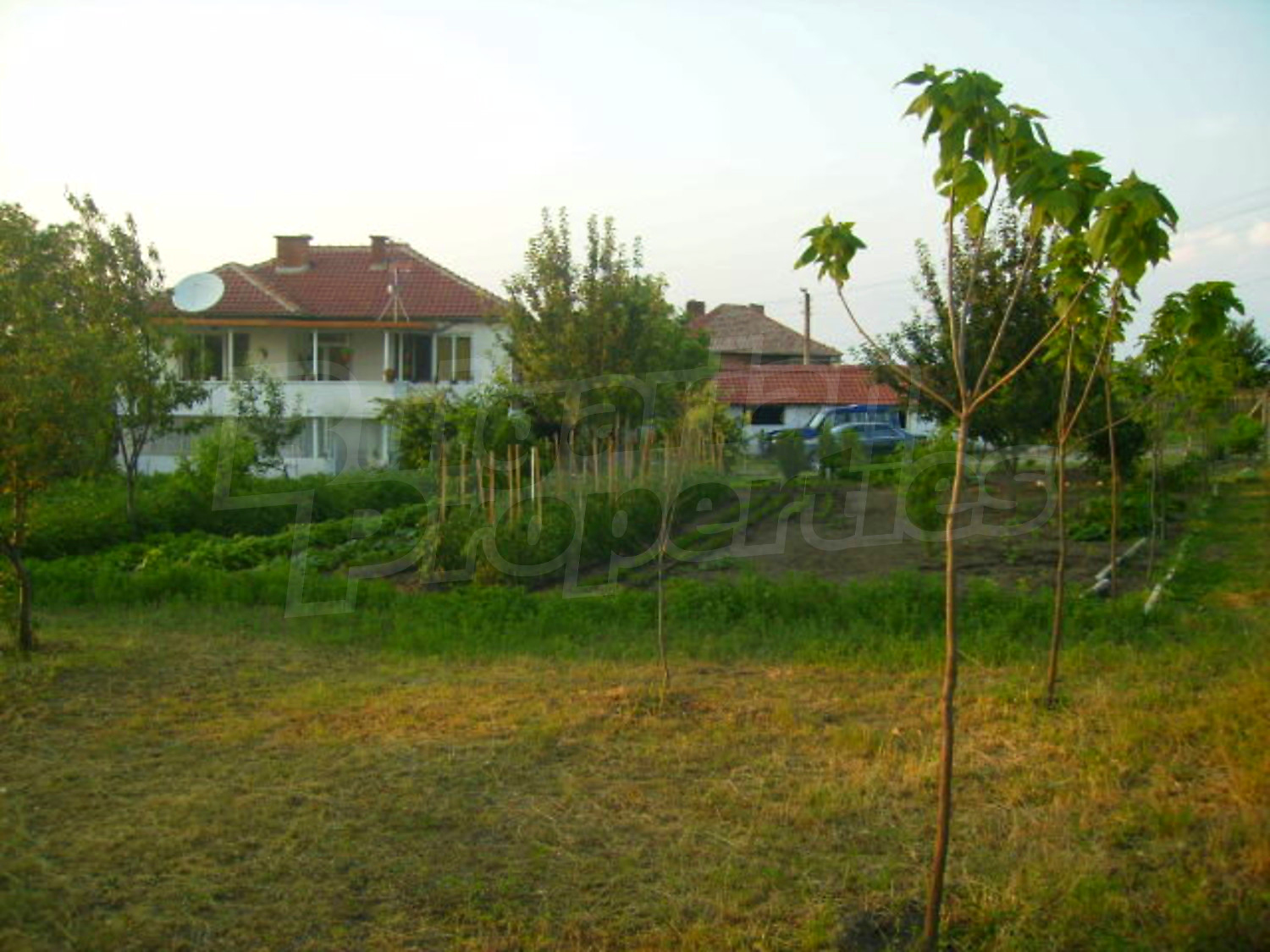 Gallery Picture 19