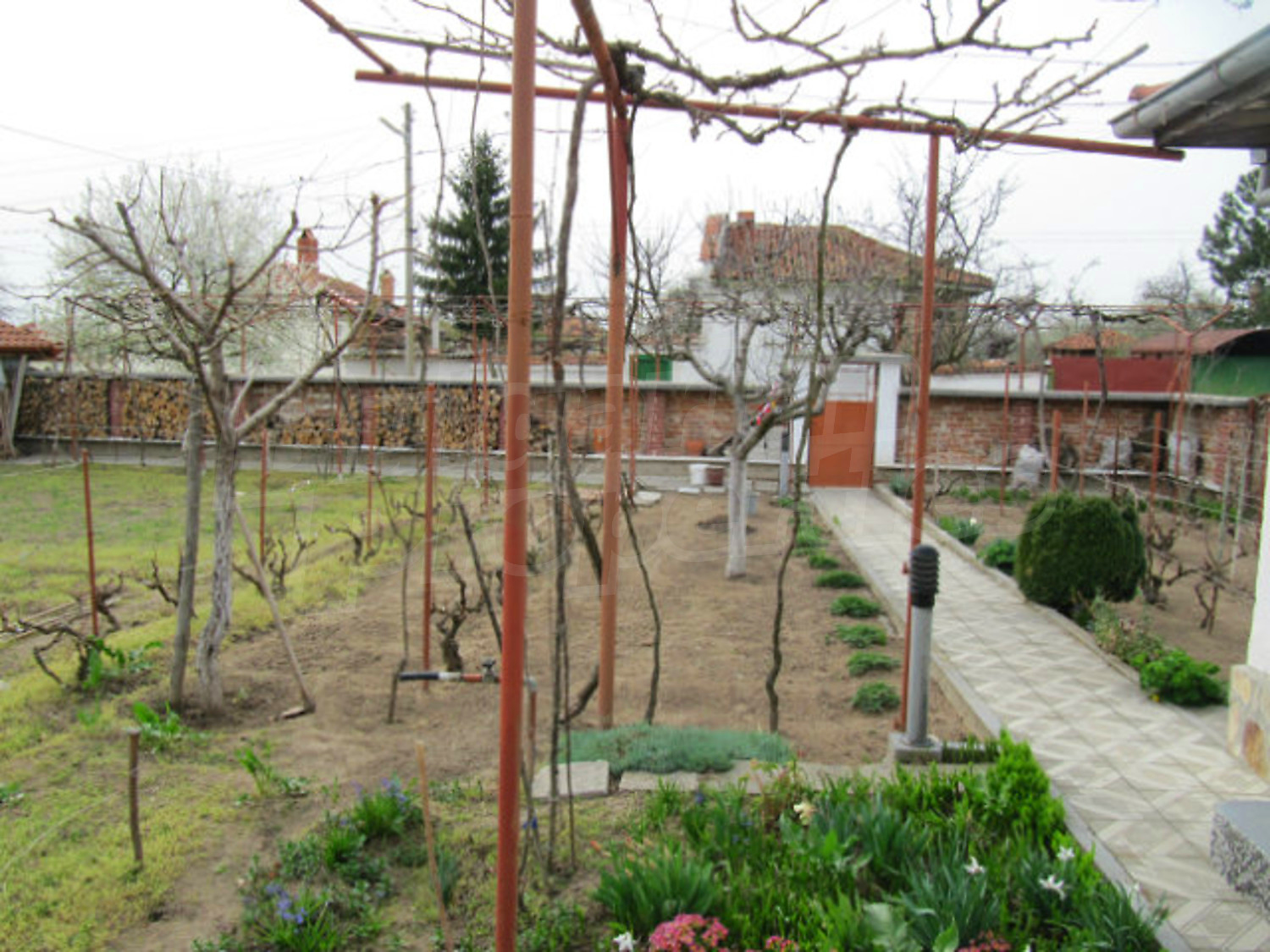 Gallery Picture 17