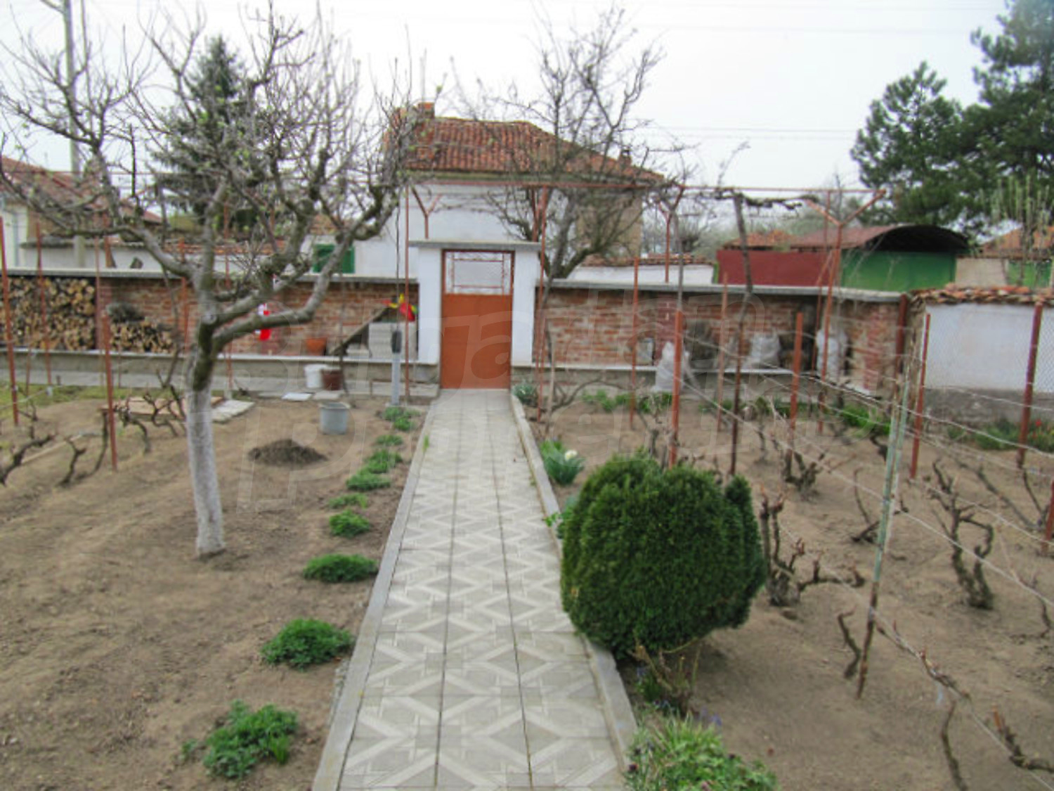 Gallery Picture 18