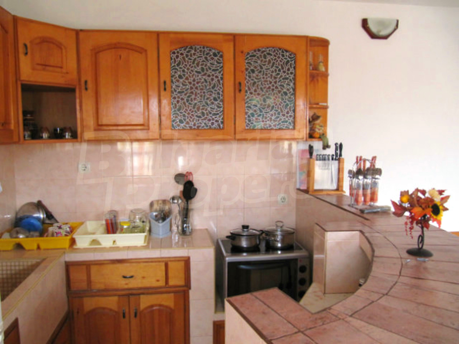 Gallery Picture 26