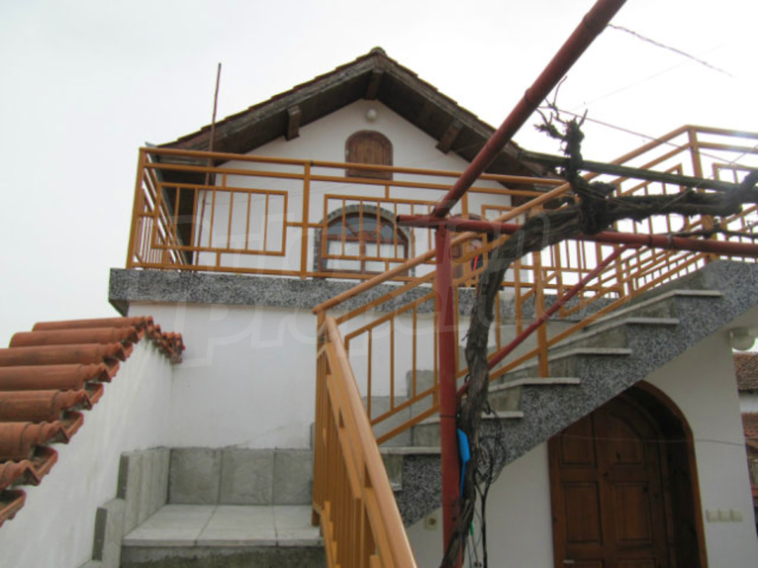 Gallery Picture 27