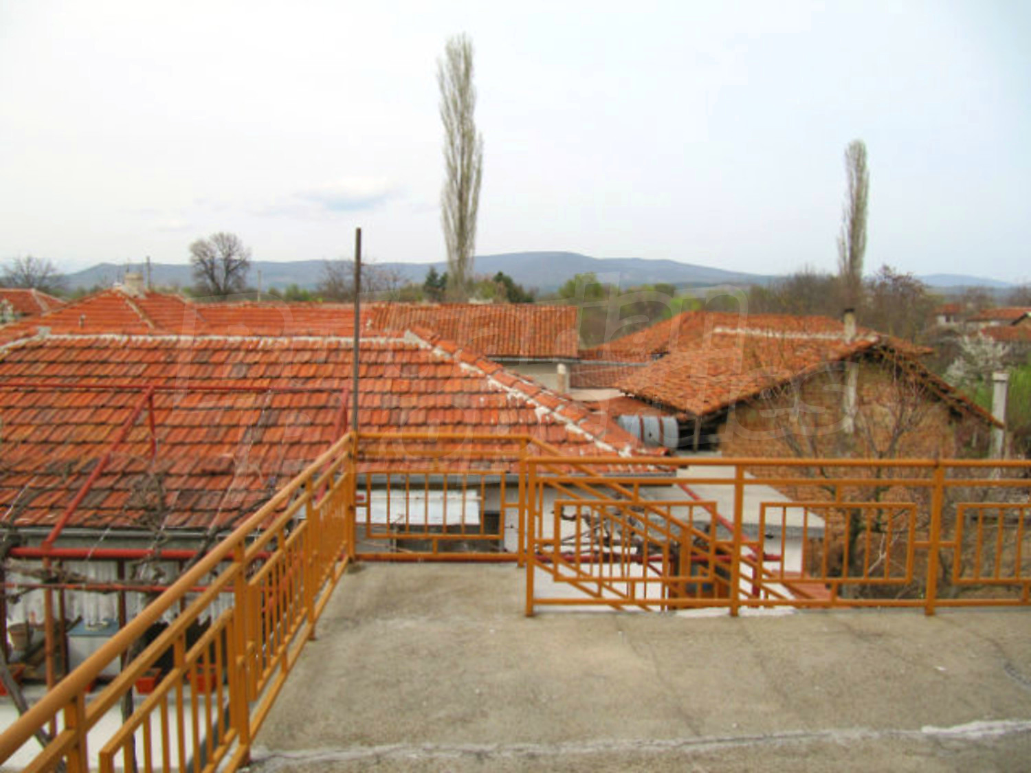 Gallery Picture 36