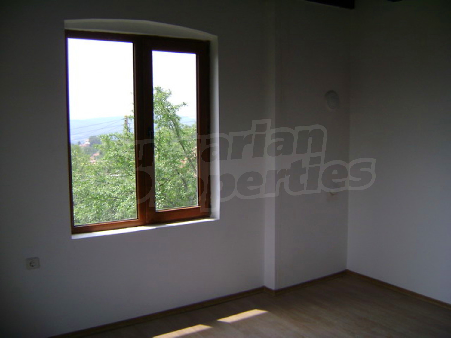 Gallery Picture 10