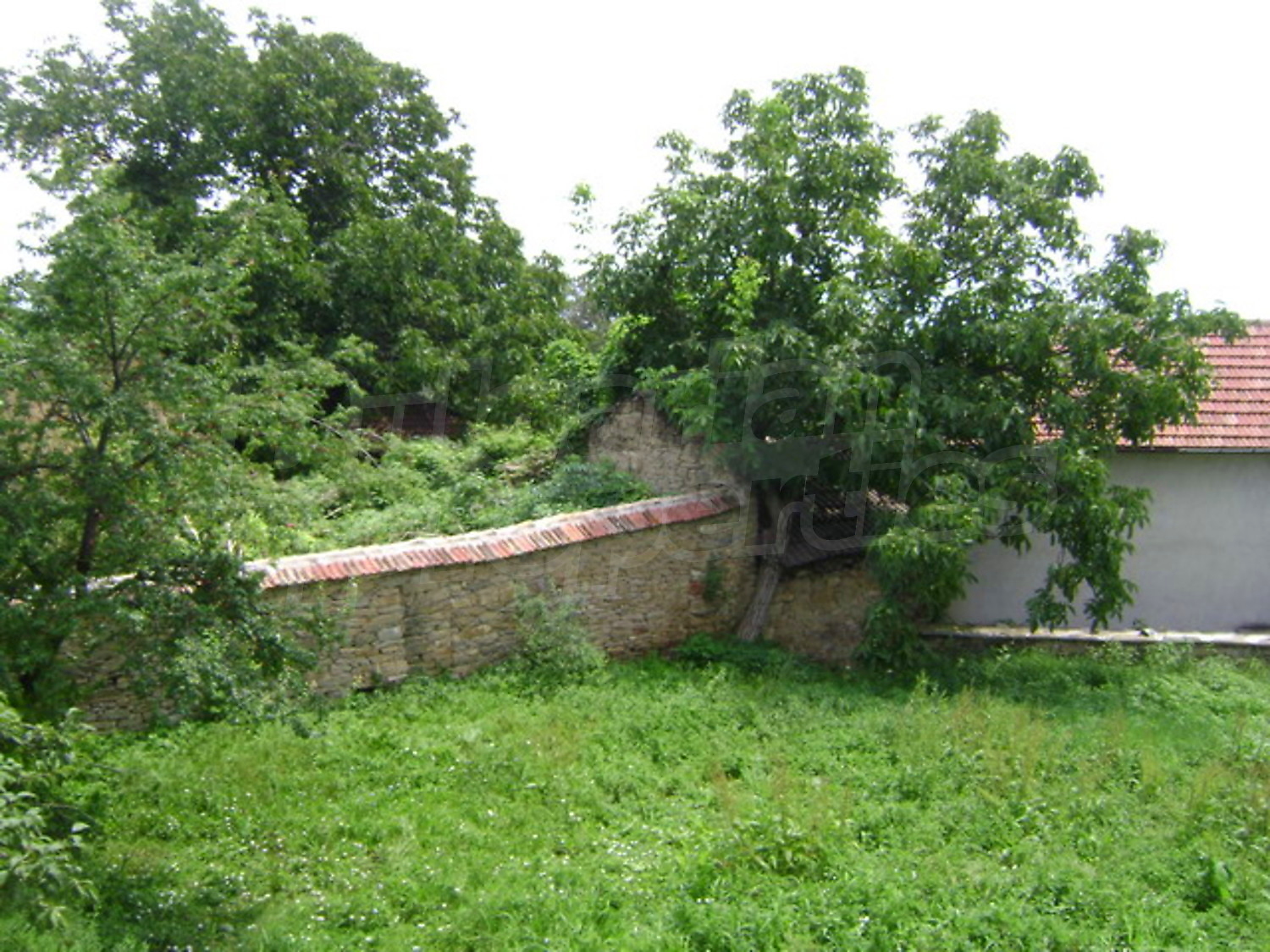 Gallery Picture 23