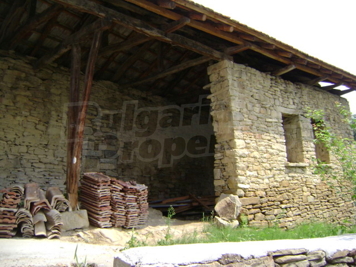 Gallery Picture 6