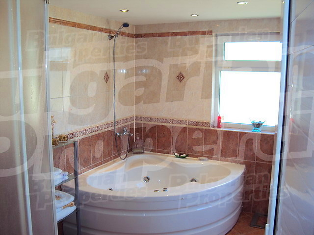 Gallery Picture 17