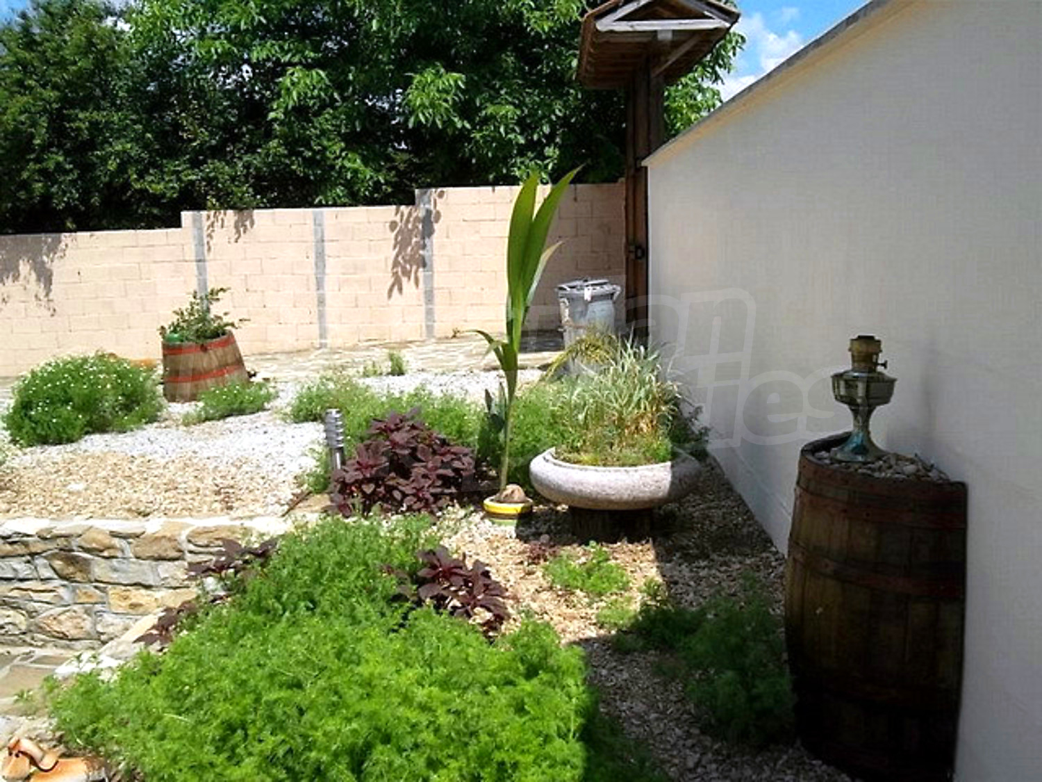 Gallery Picture 37