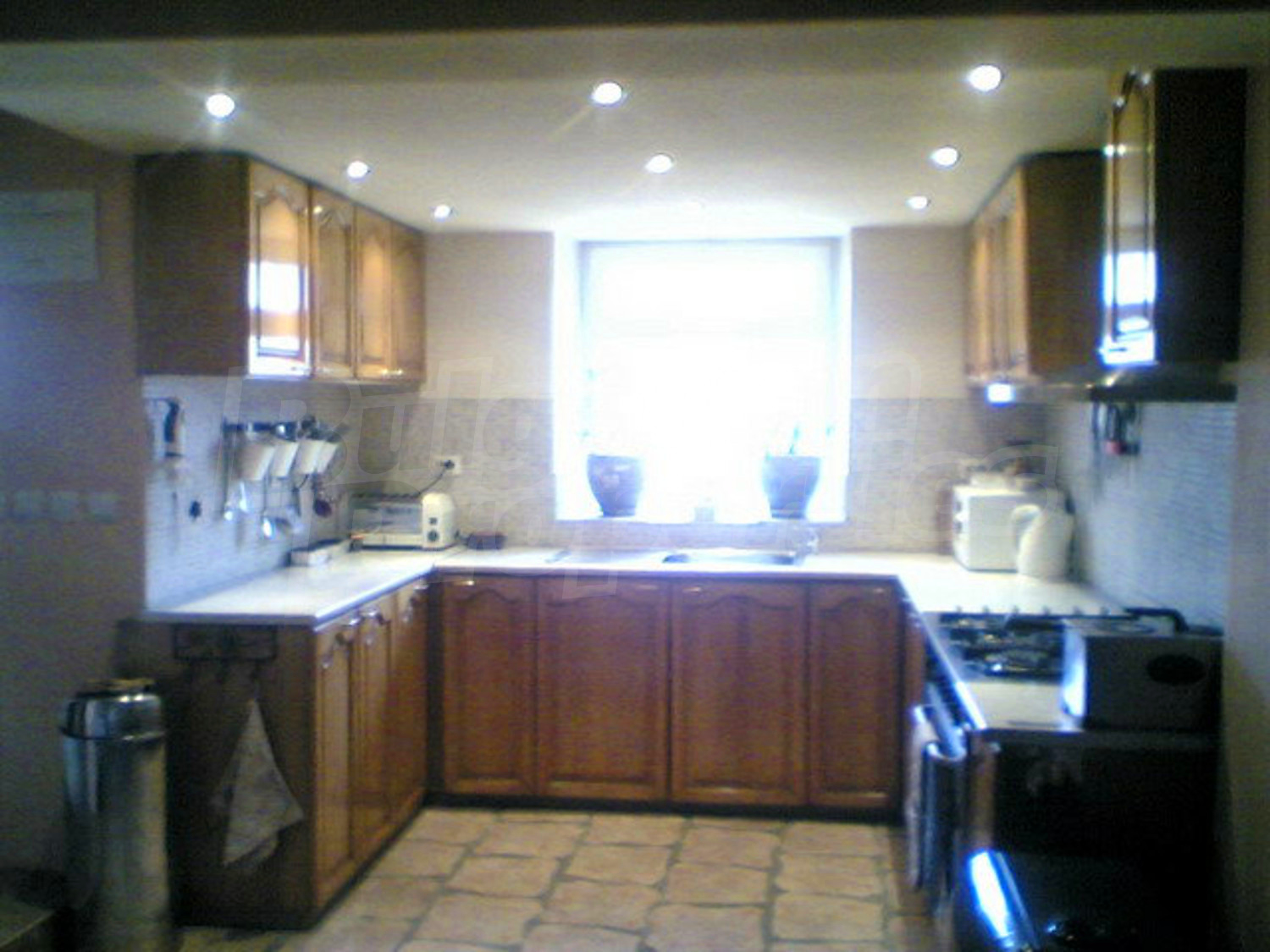 Gallery Picture 41