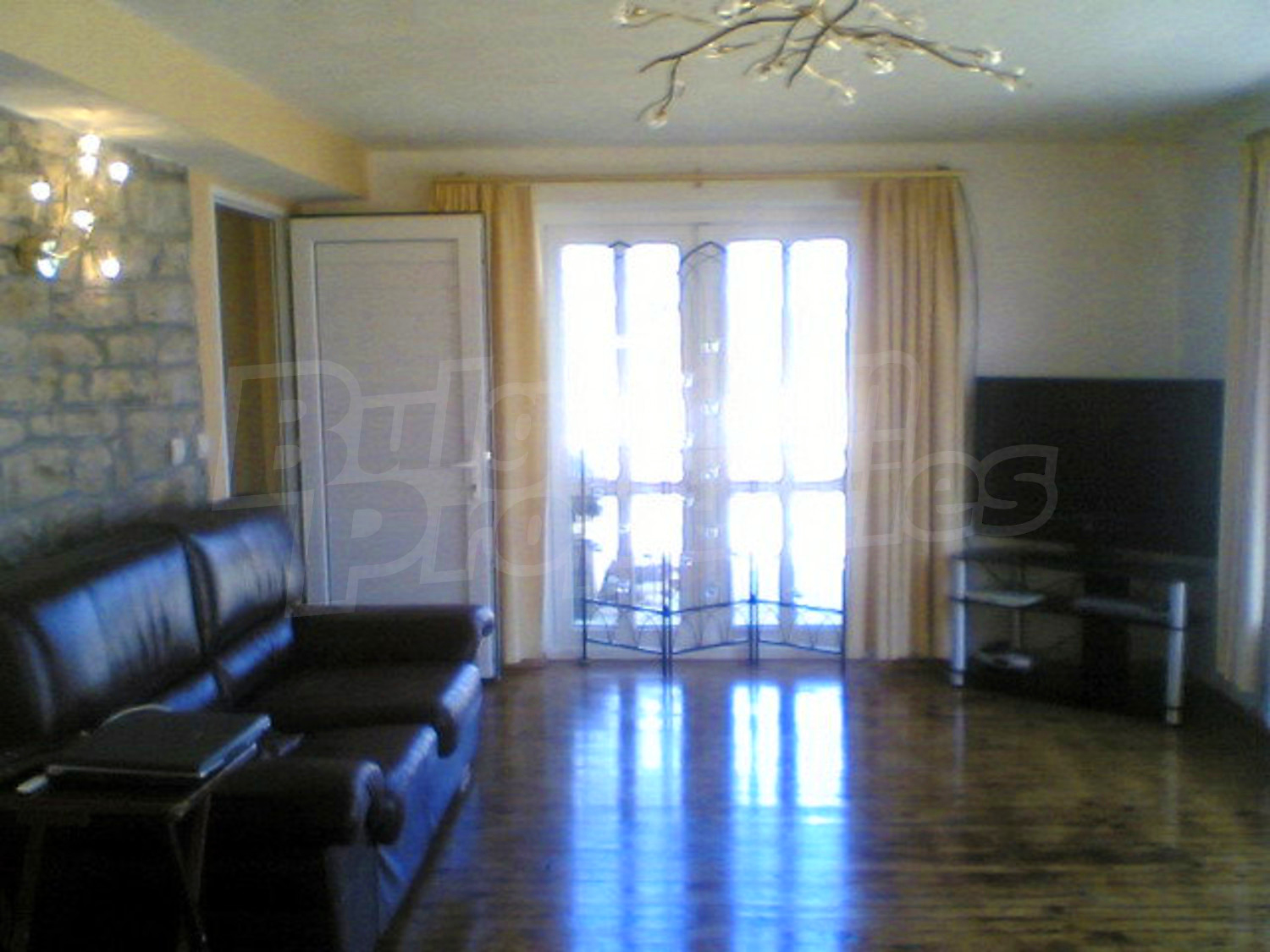Gallery Picture 42