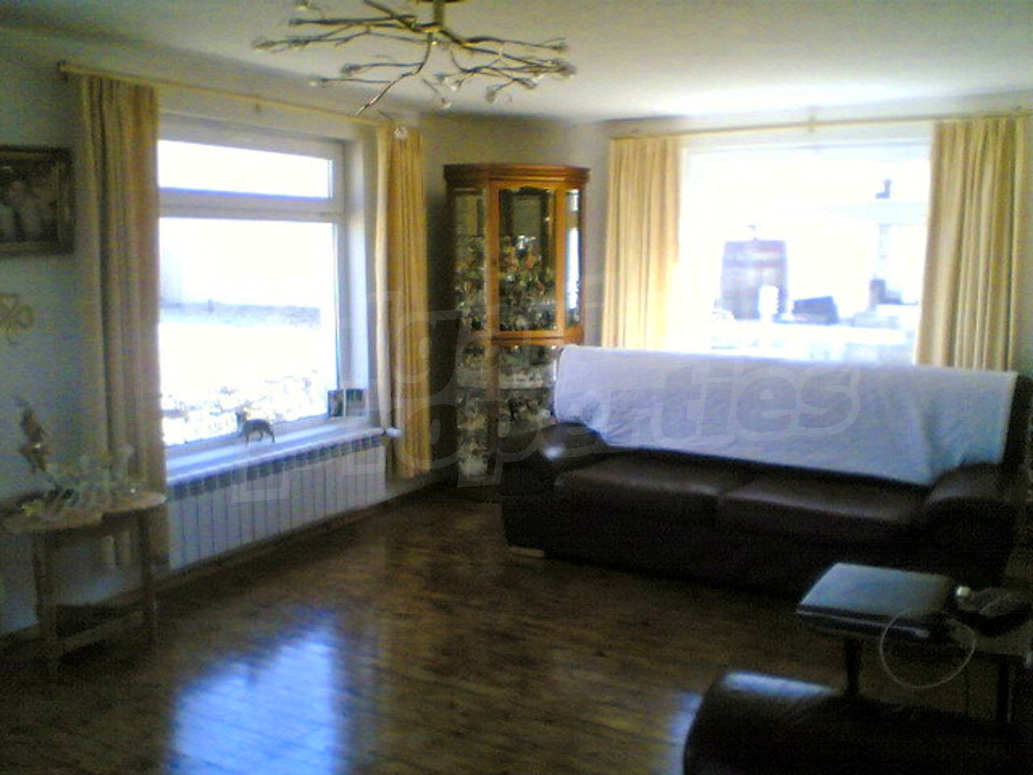 Gallery Picture 43
