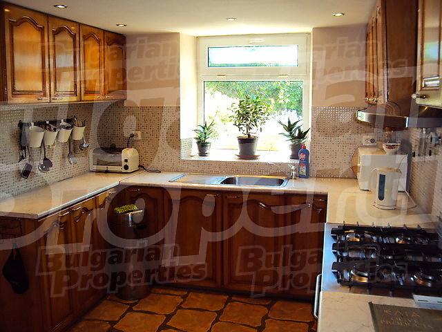 Gallery Picture 56