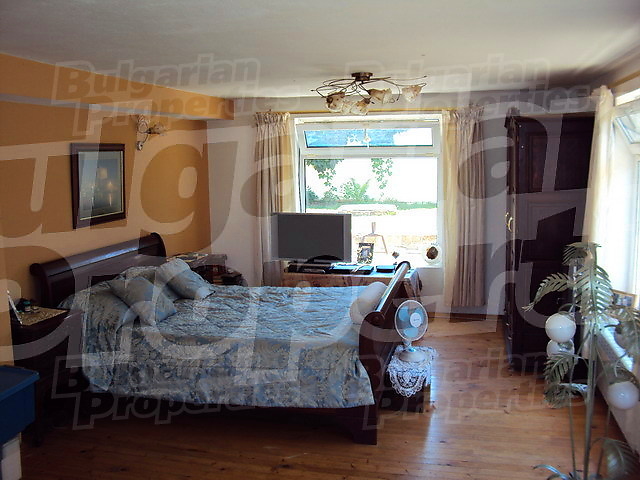 Gallery Picture 59