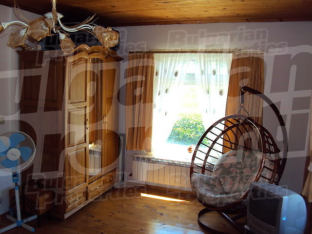 Gallery Picture 62