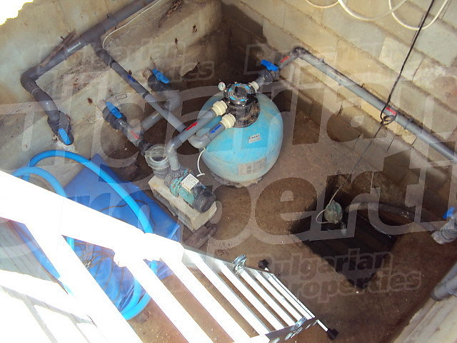 Gallery Picture 67