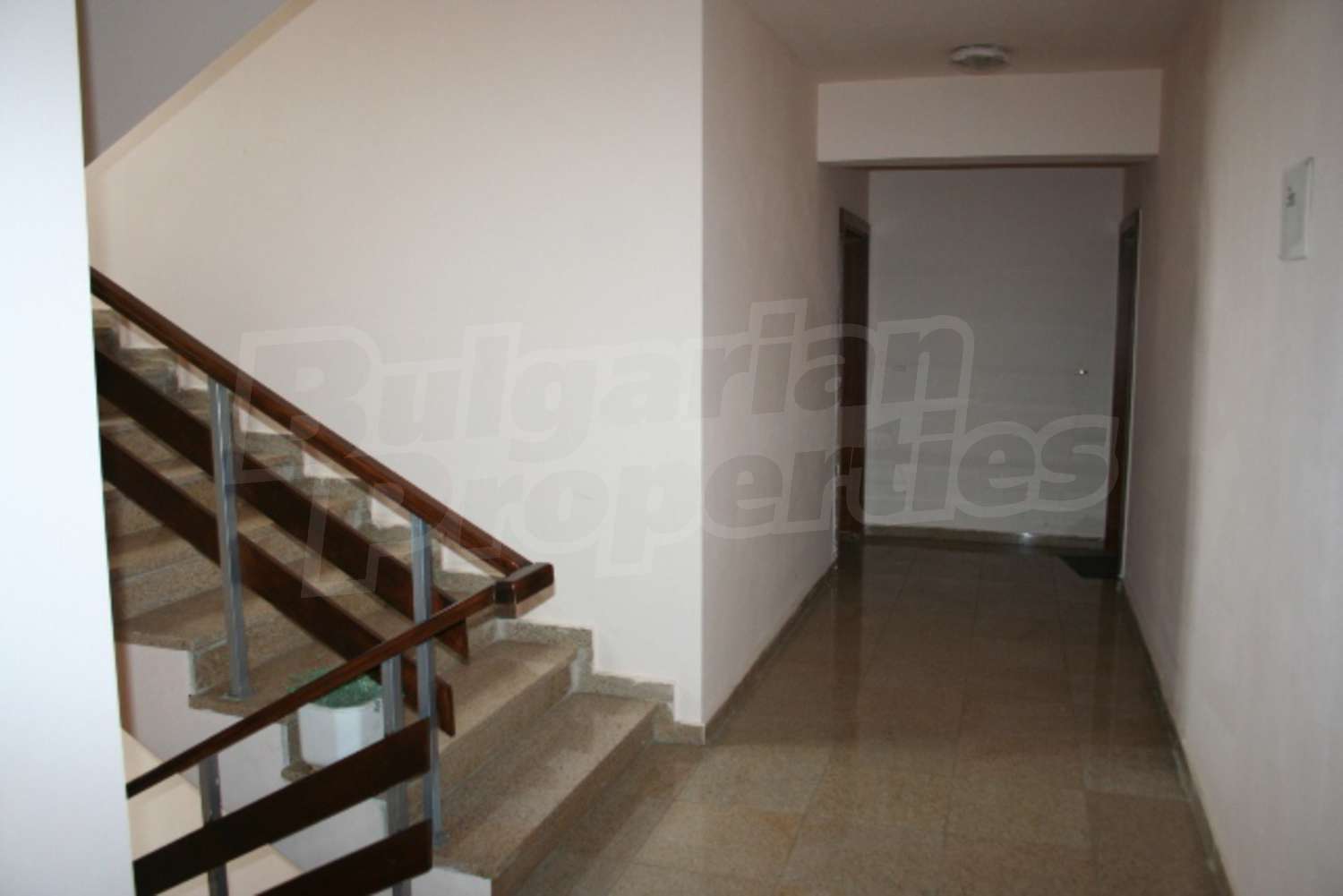 Gallery Picture 12