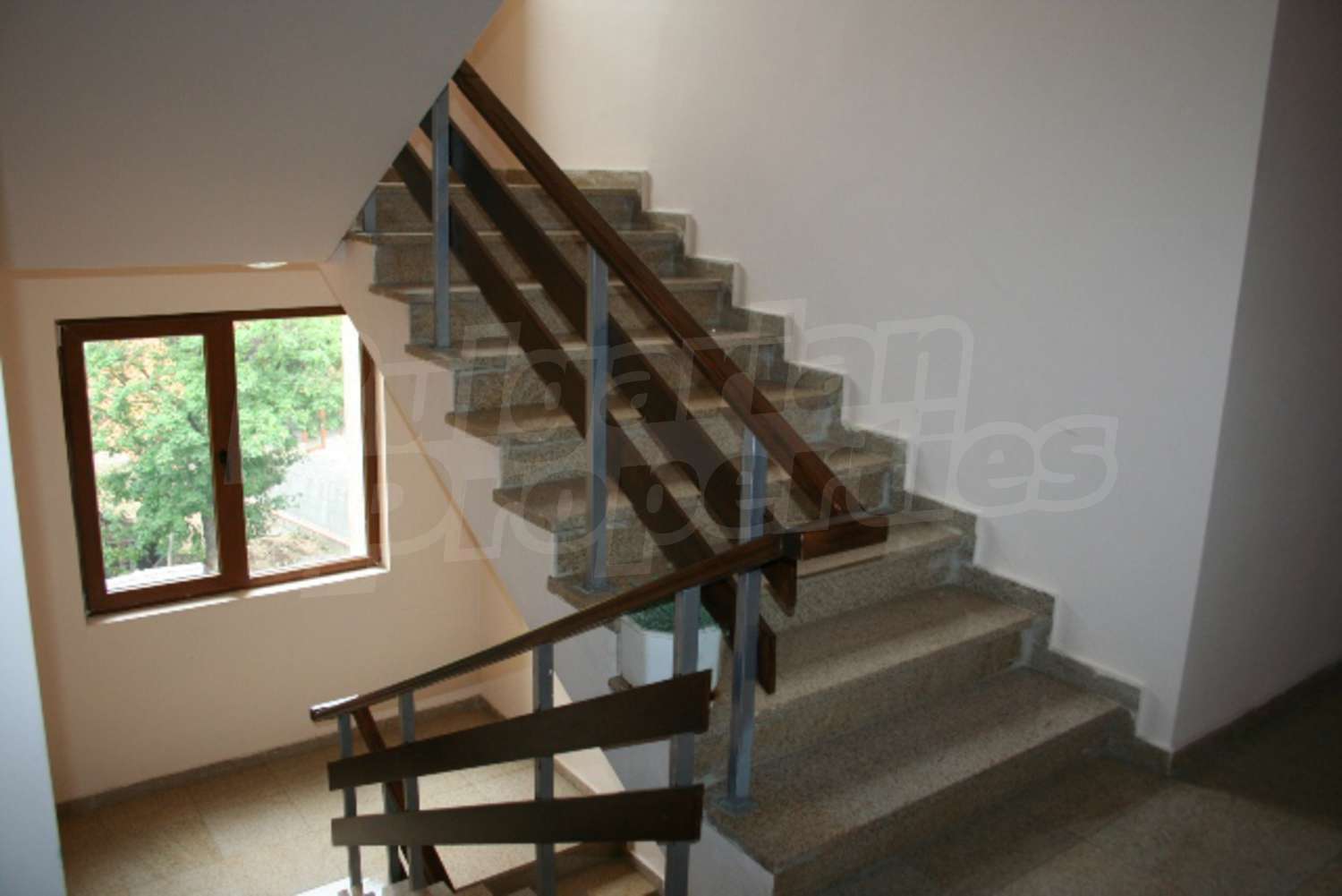 Gallery Picture 13
