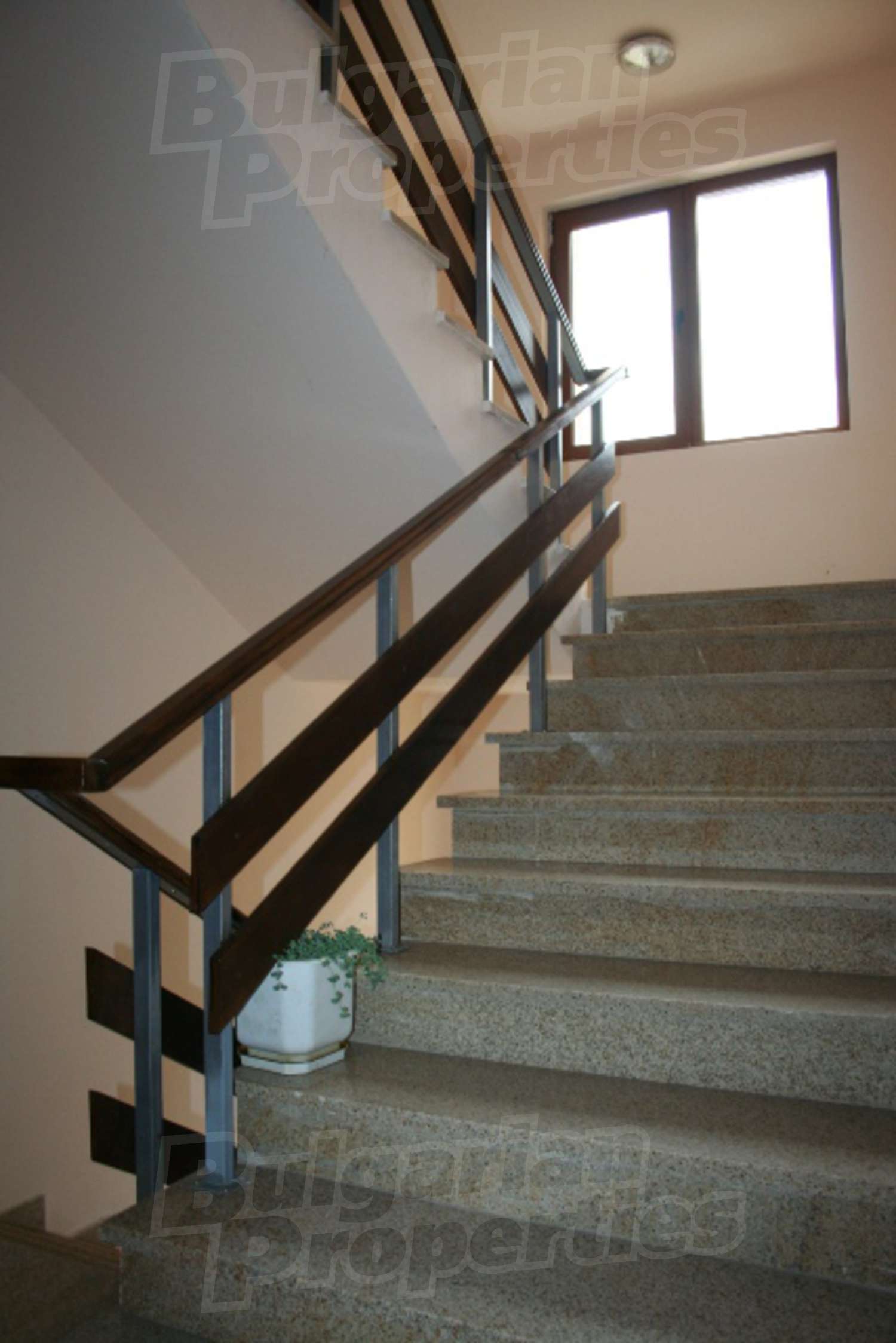 Gallery Picture 14