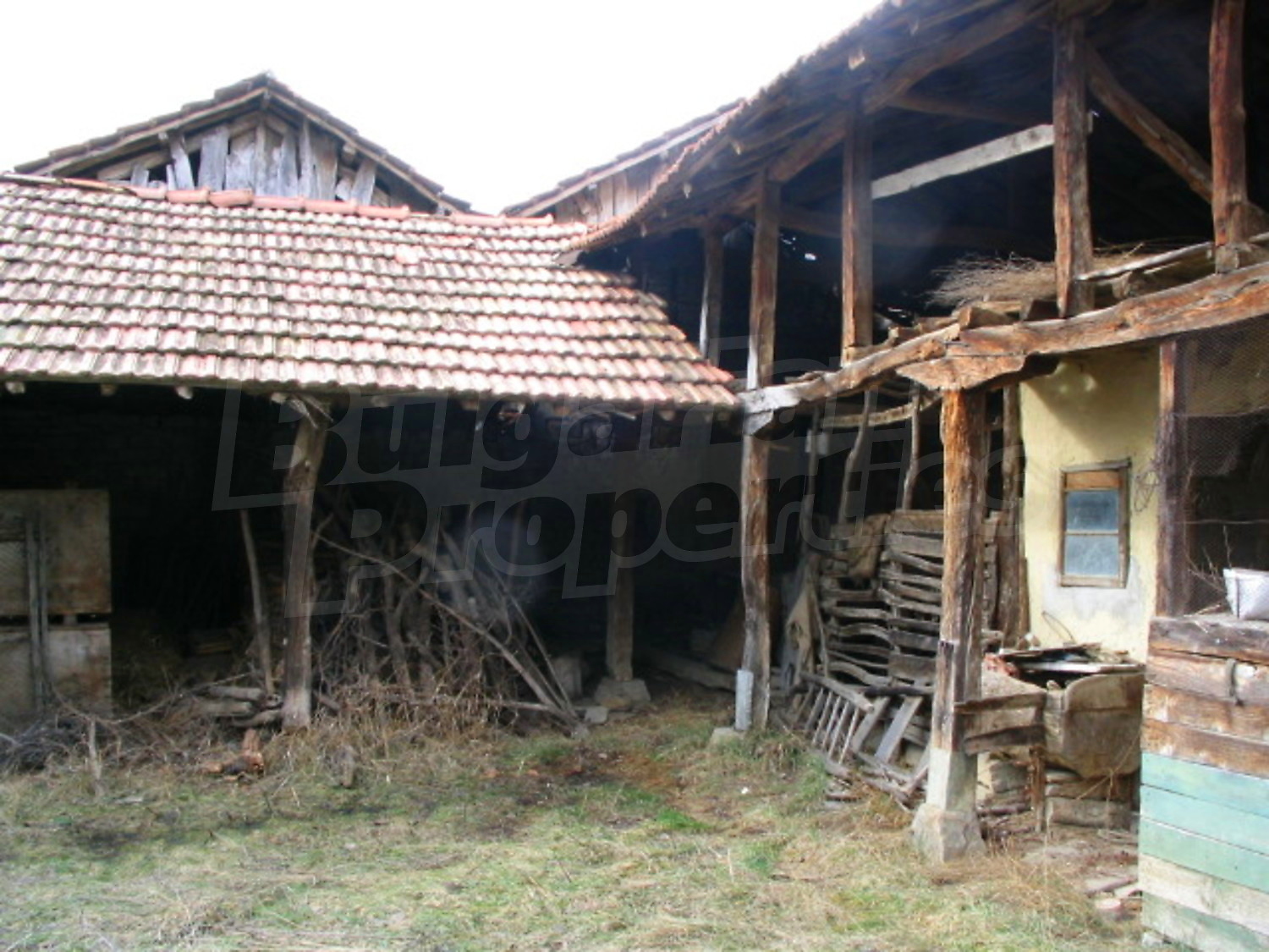 Gallery Picture 14