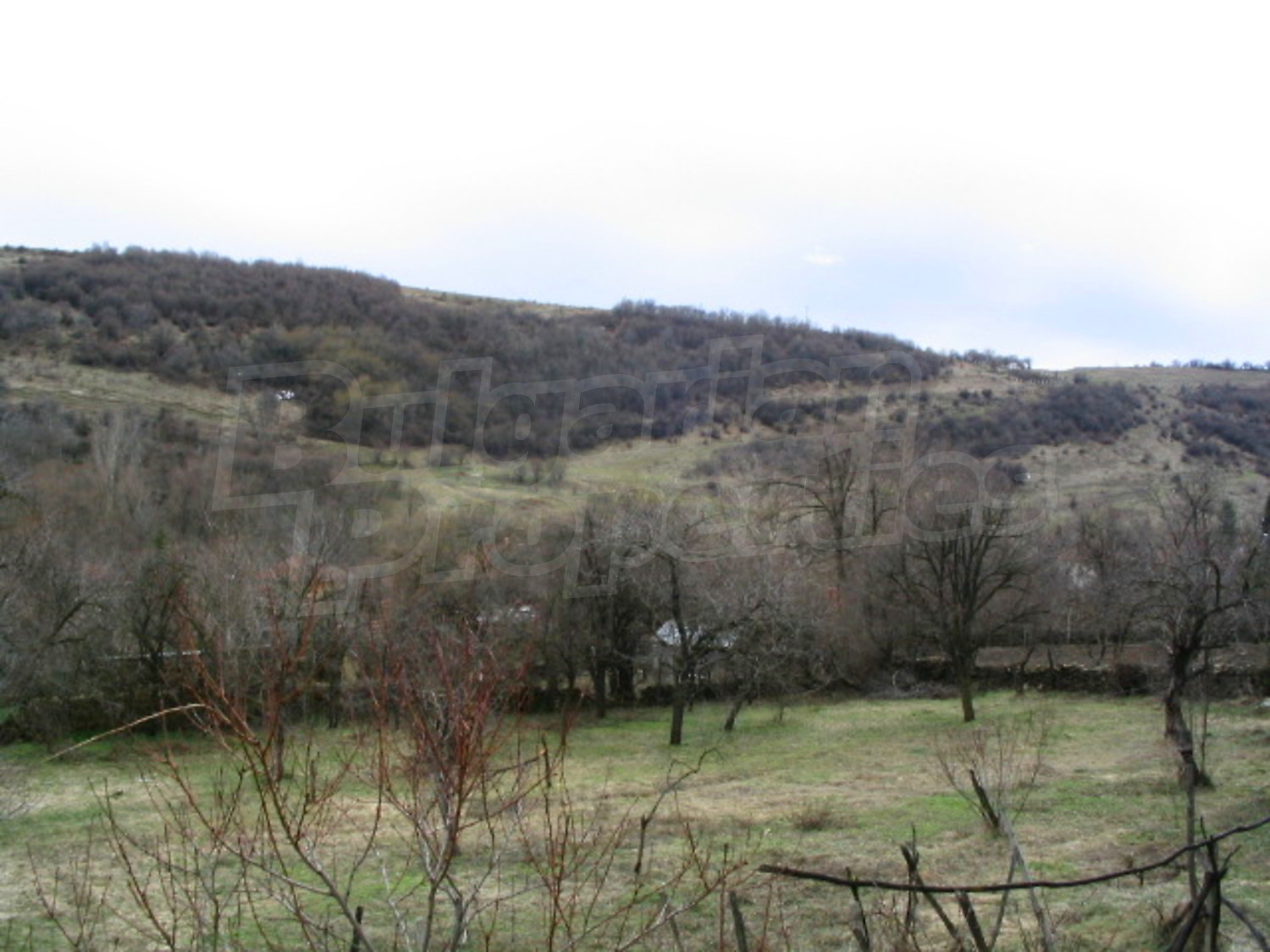 Gallery Picture 15
