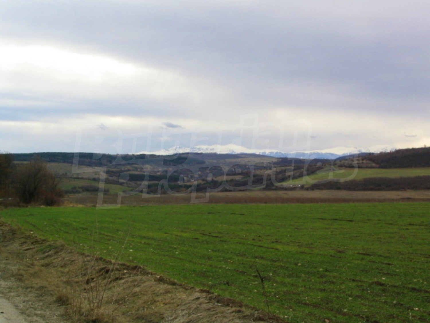 Gallery Picture 17