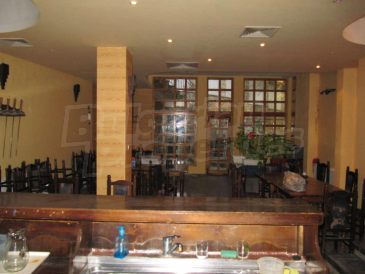 Gallery Picture 10