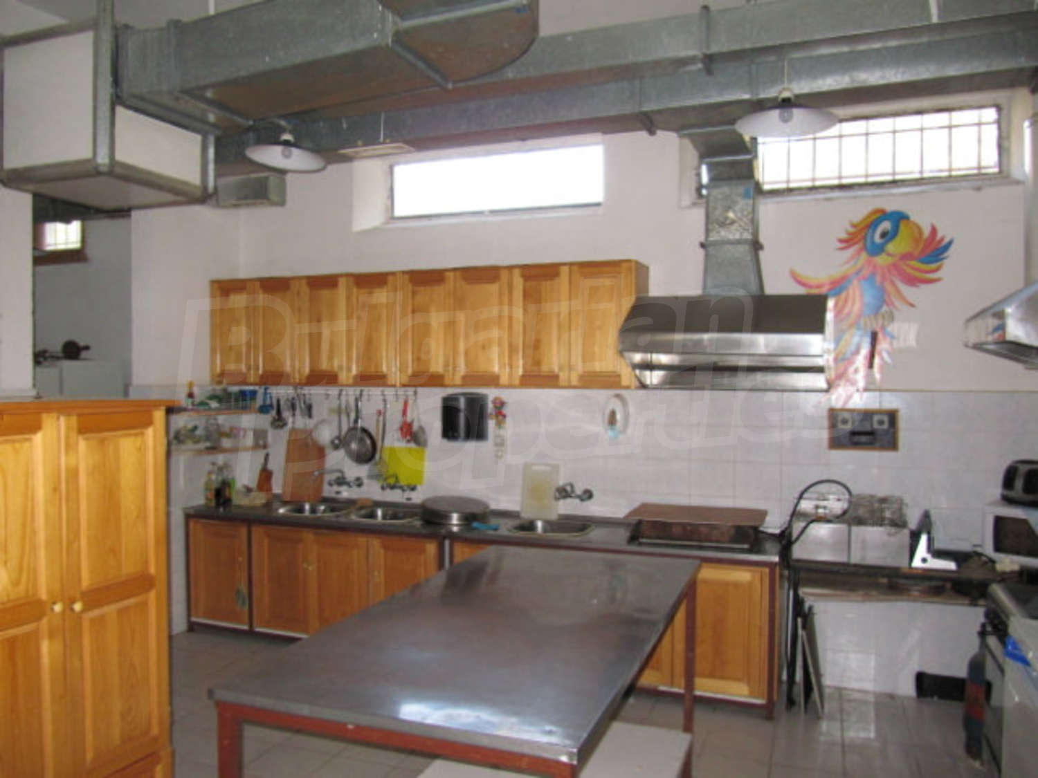 Gallery Picture 12