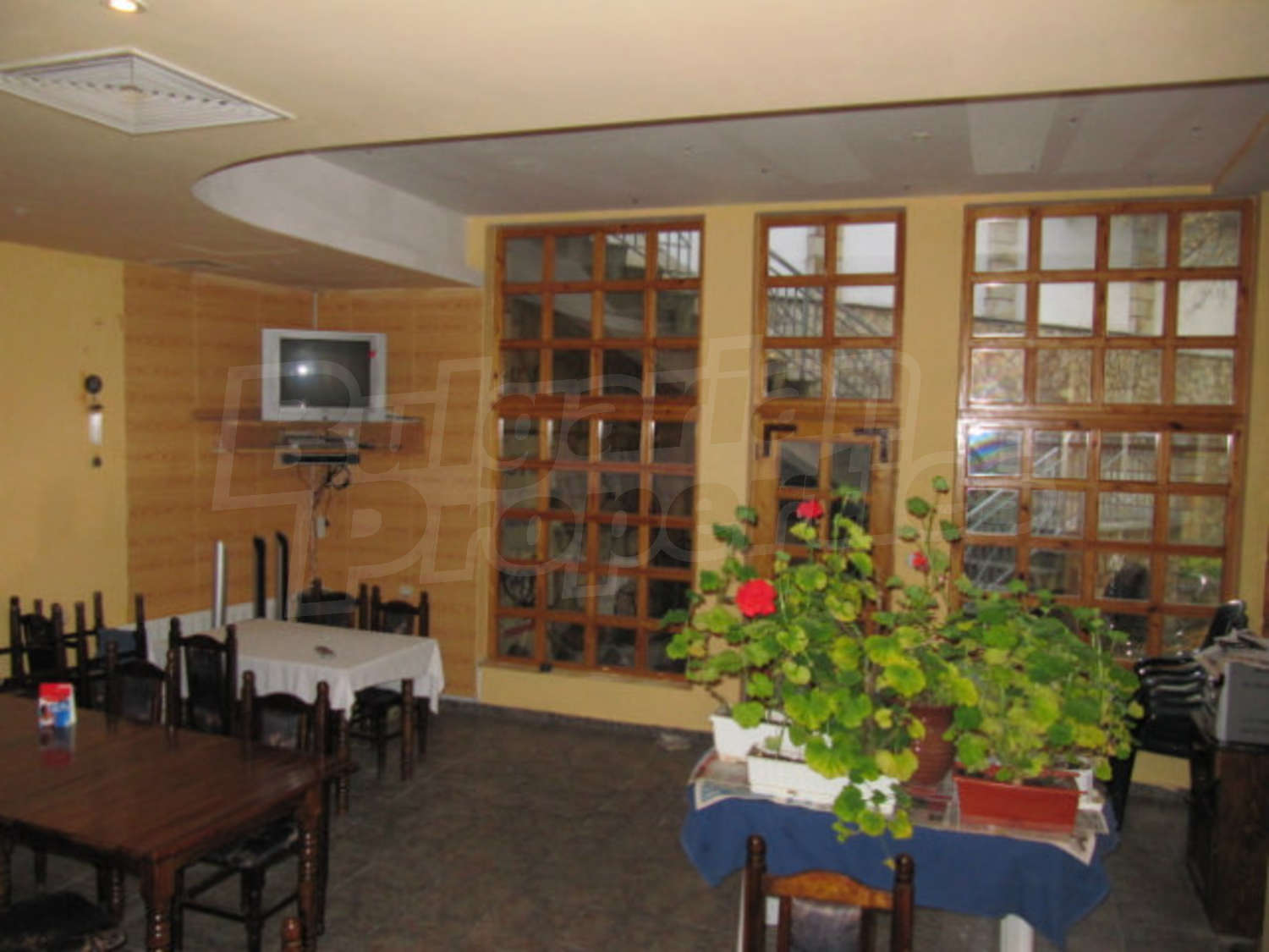 Gallery Picture 14