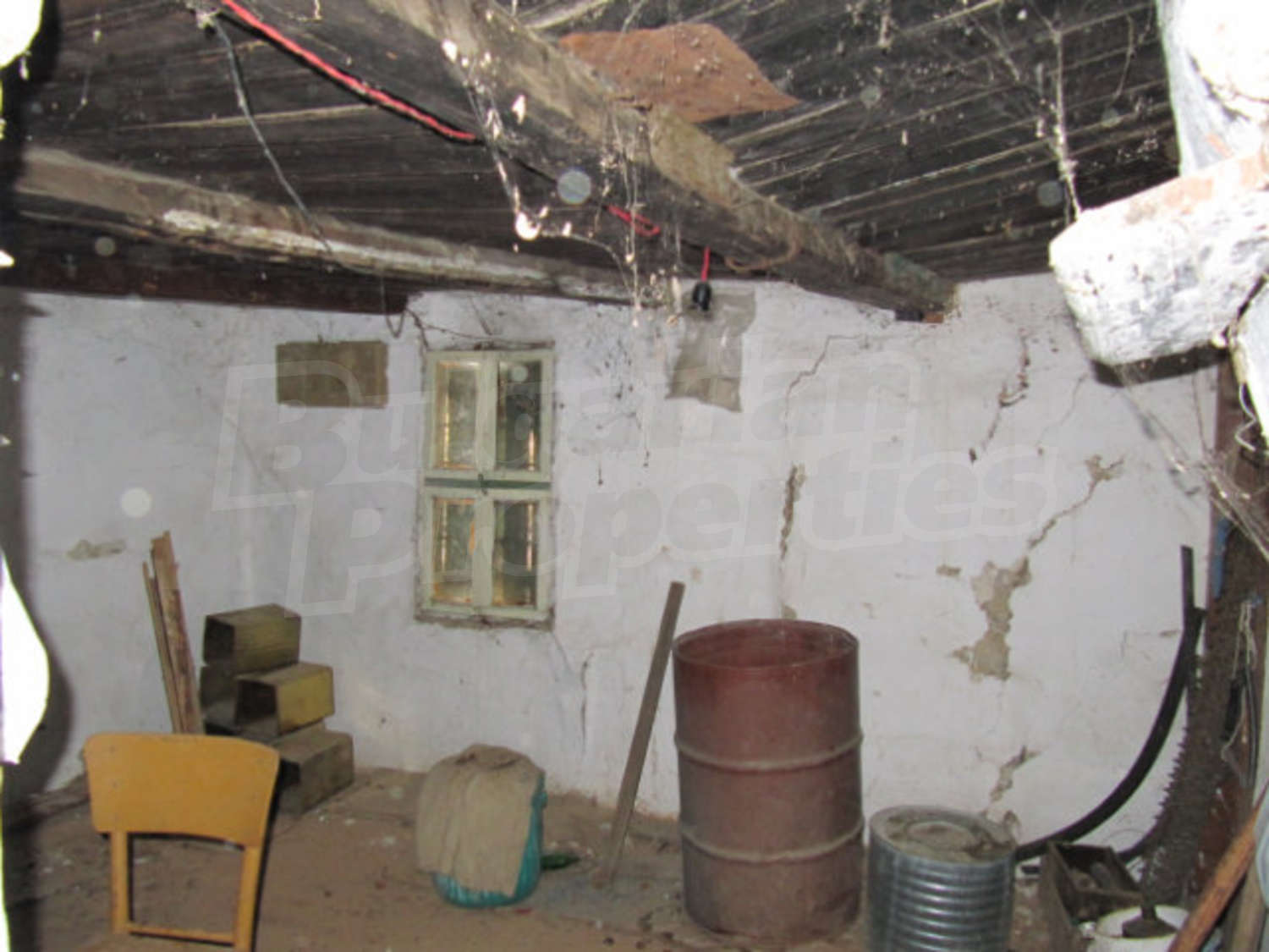 Gallery Picture 26