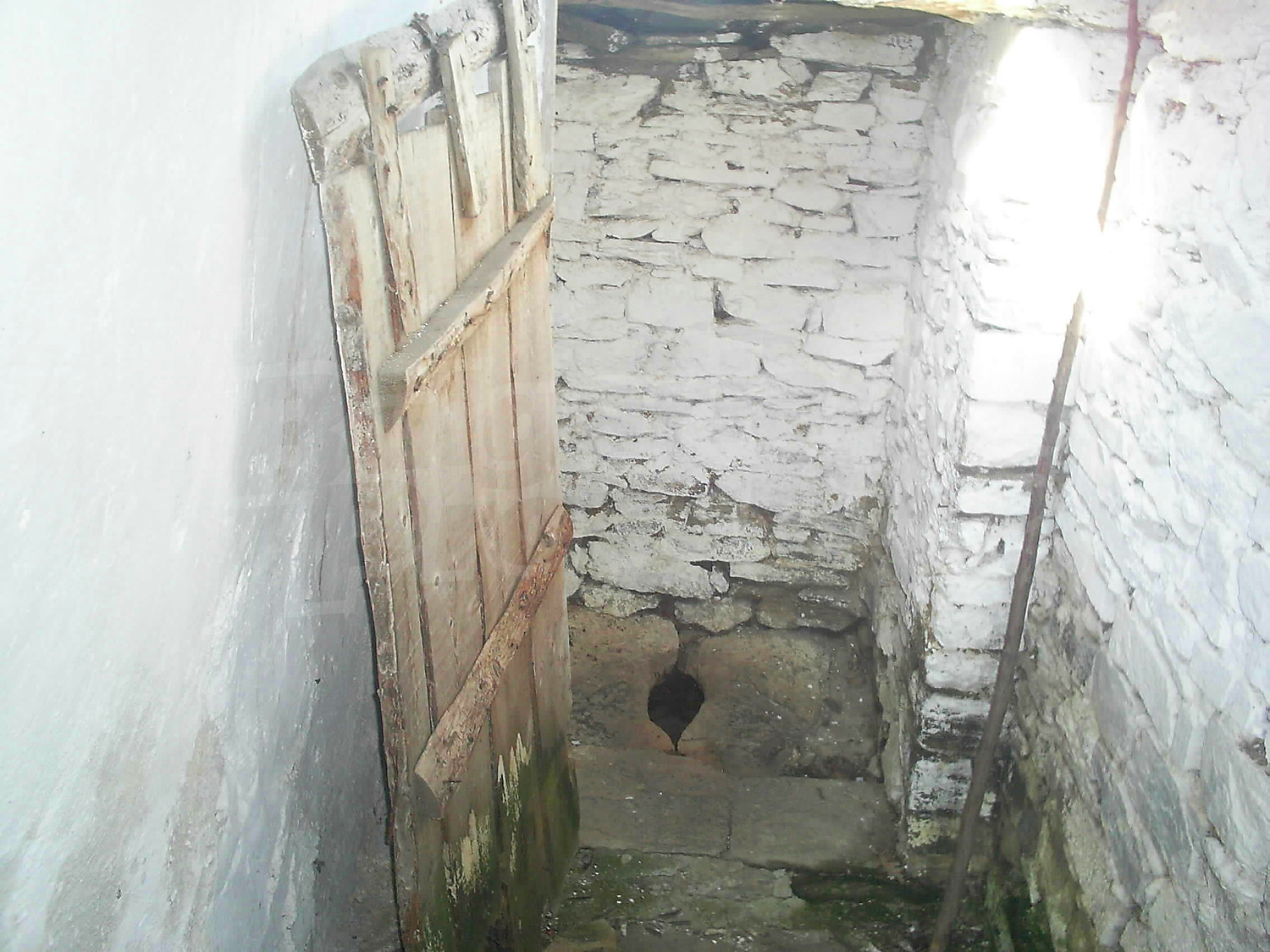 Gallery Picture 10