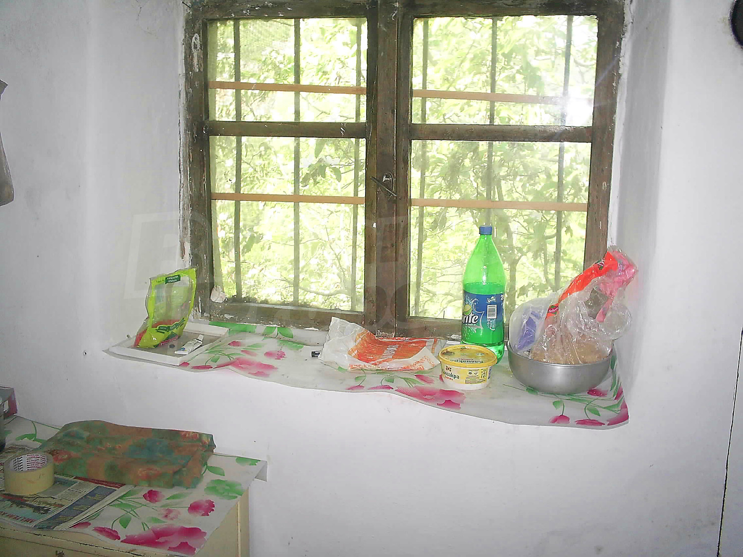 Gallery Picture 13