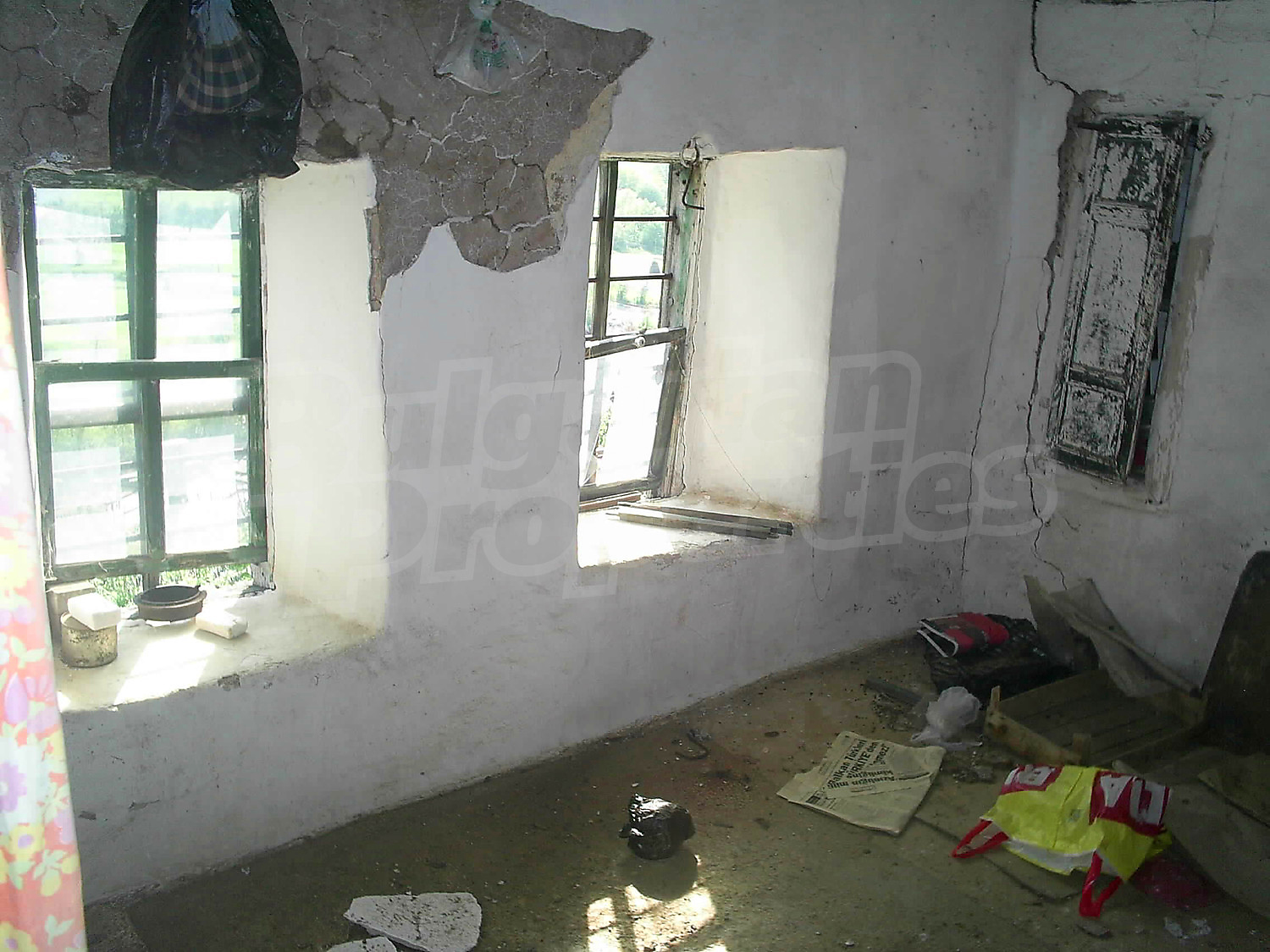 Gallery Picture 28