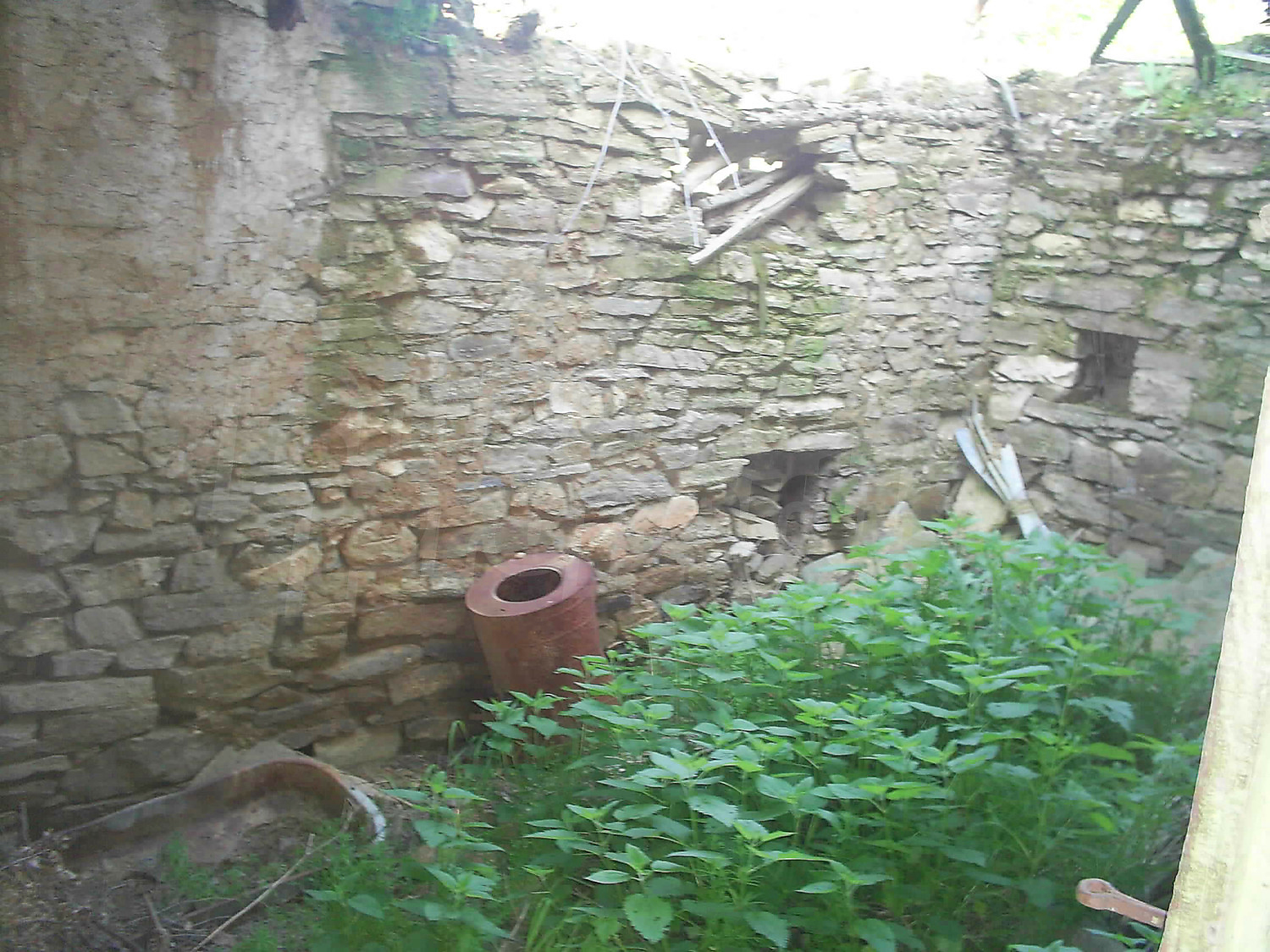 Gallery Picture 39