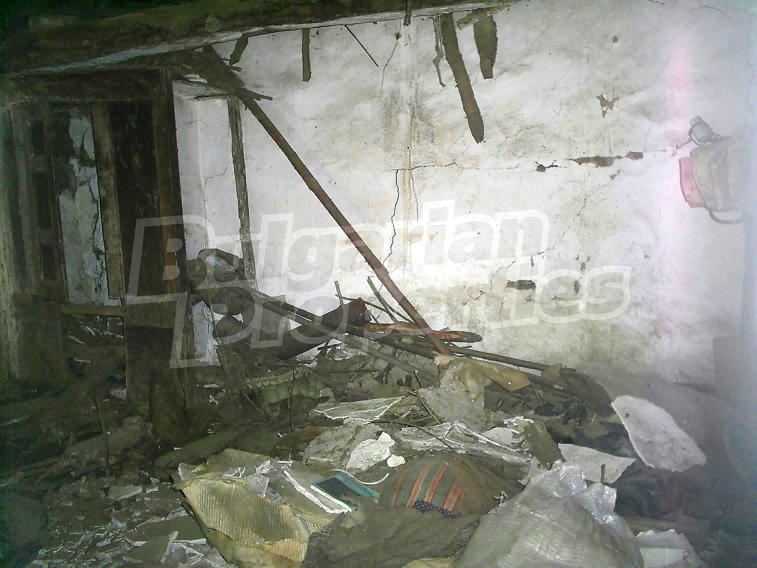Gallery Picture 43