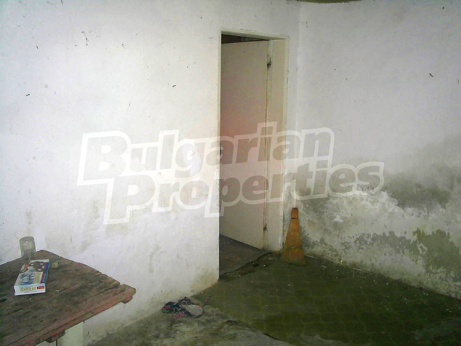 Gallery Picture 46