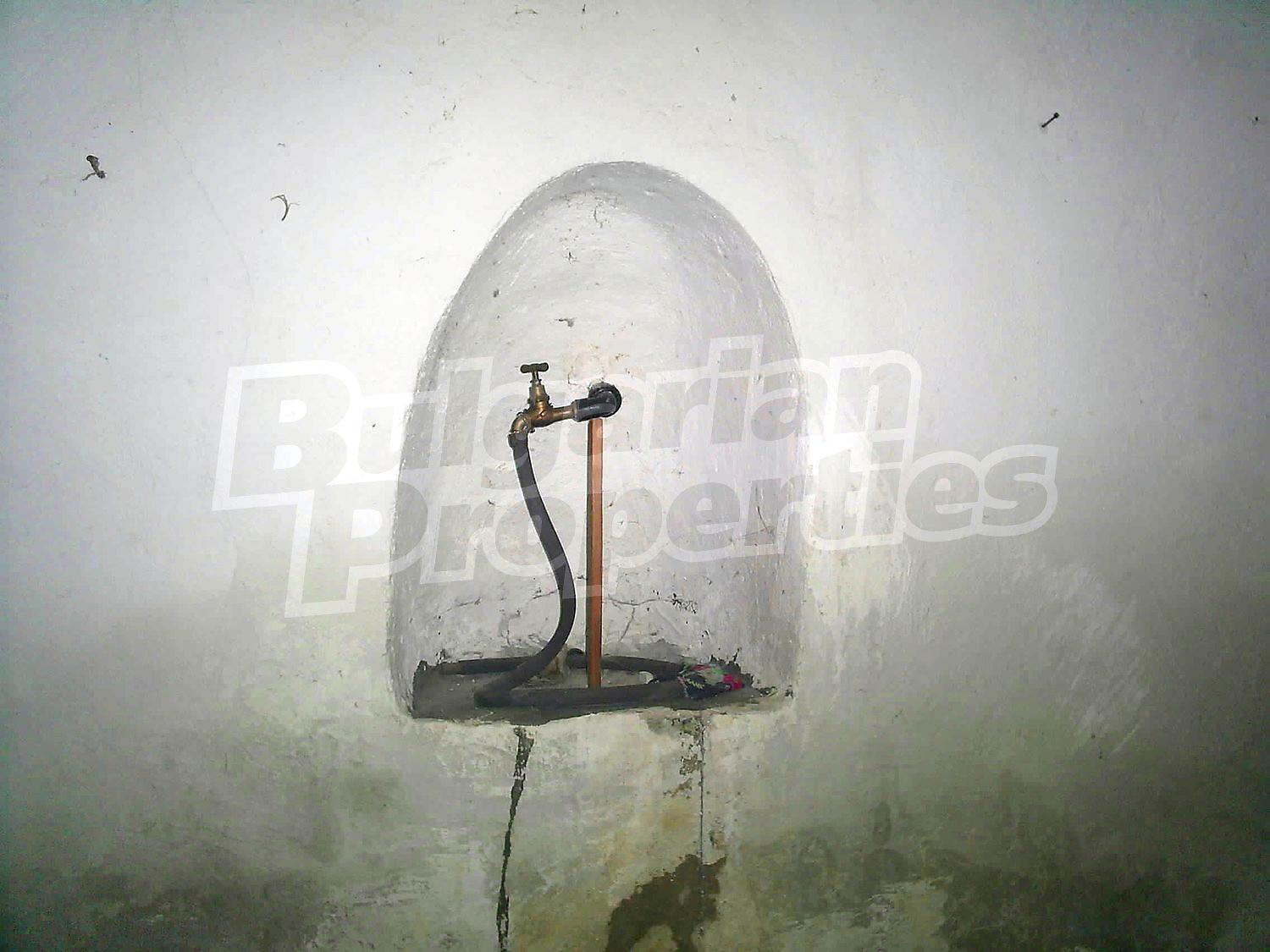 Gallery Picture 47