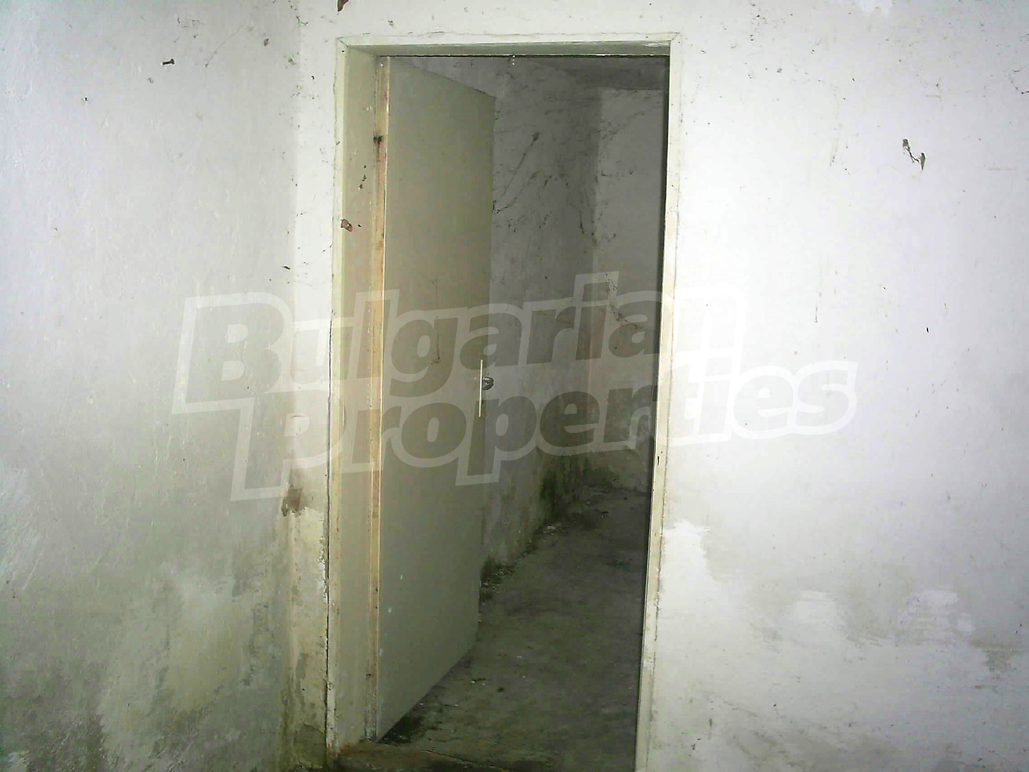 Gallery Picture 48