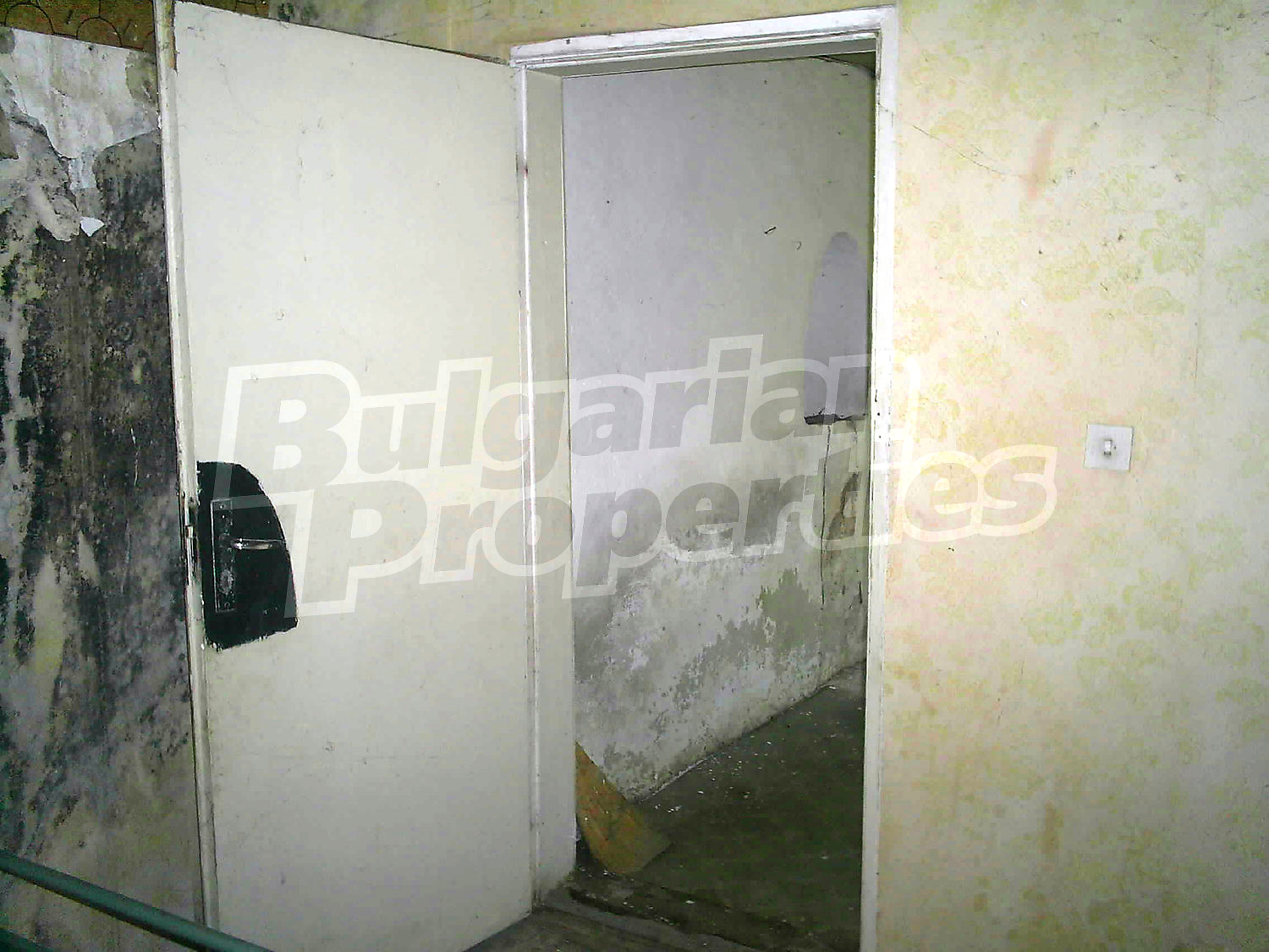 Gallery Picture 50