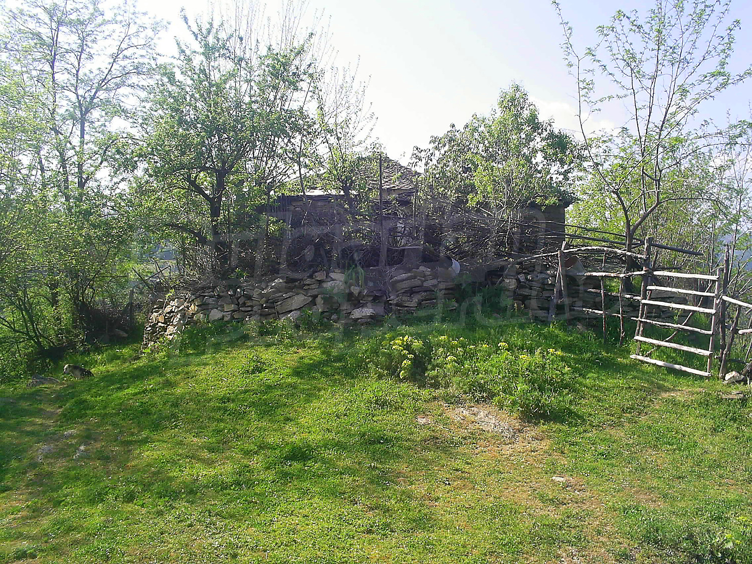 Gallery Picture 51