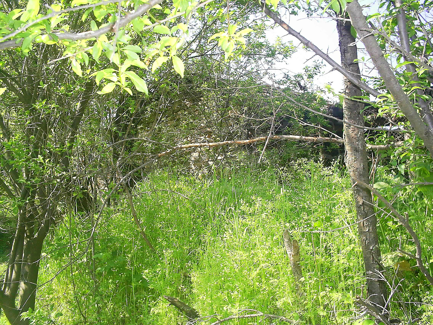 Gallery Picture 54