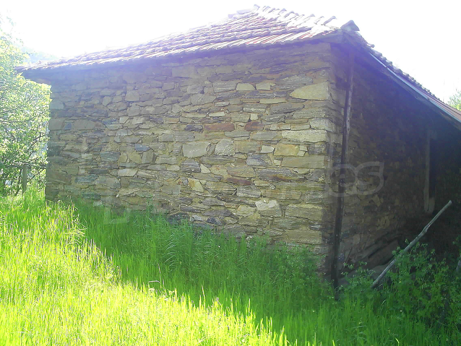 Gallery Picture 58