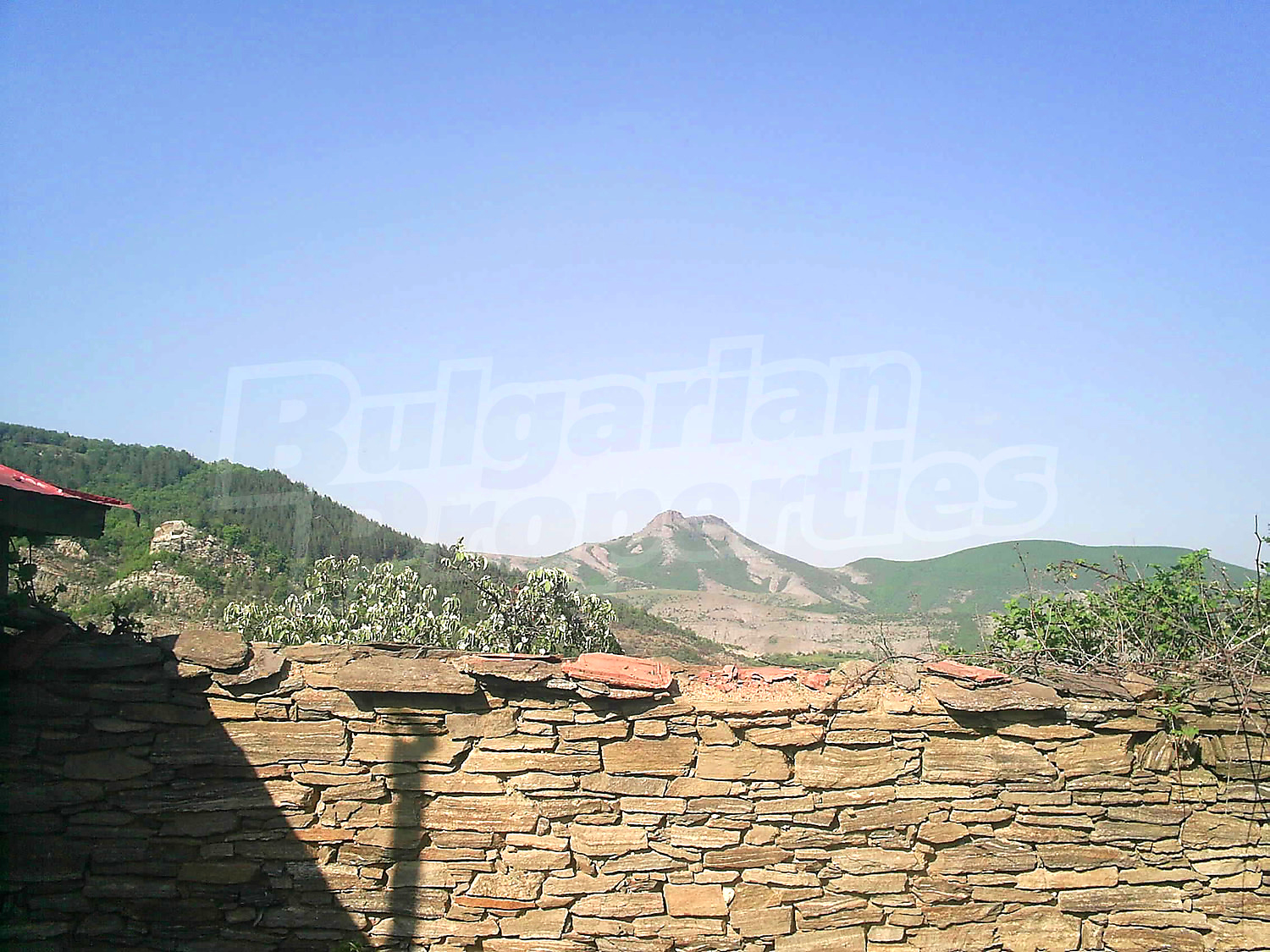 Gallery Picture 67