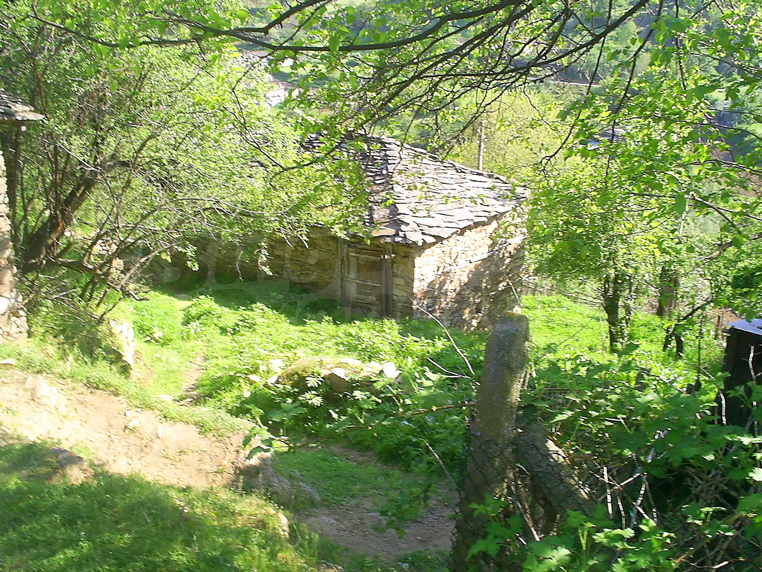Gallery Picture 69