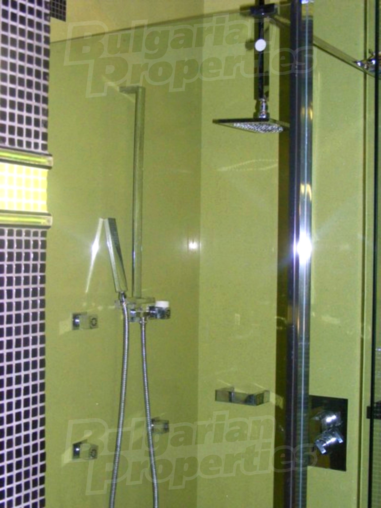 Gallery Picture 16