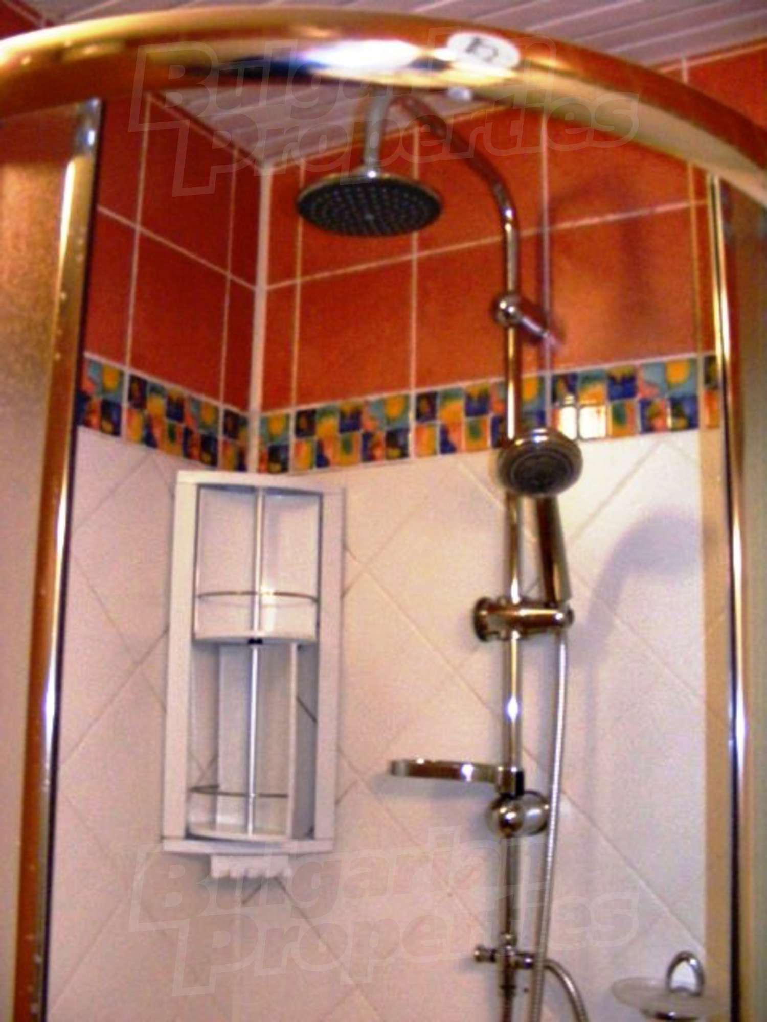 Gallery Picture 28