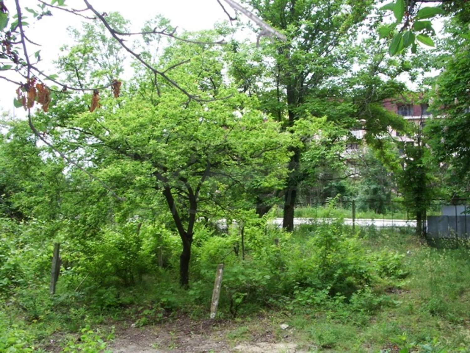 Gallery Picture 2