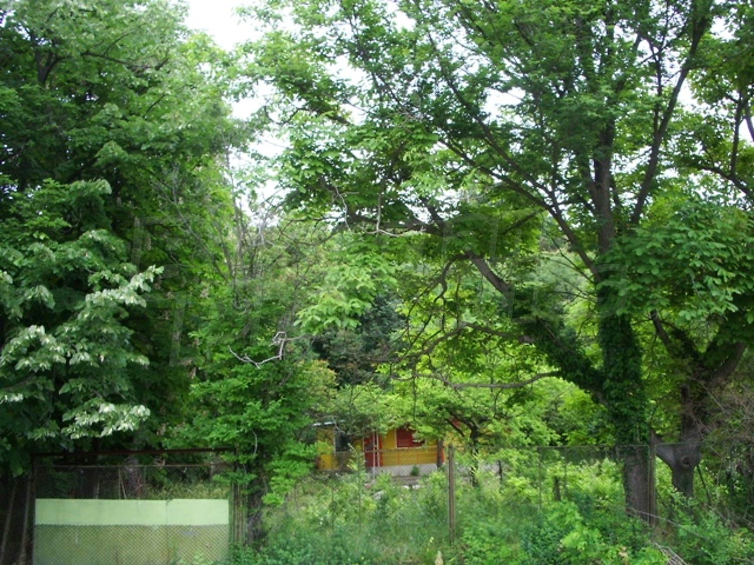 Gallery Picture 3