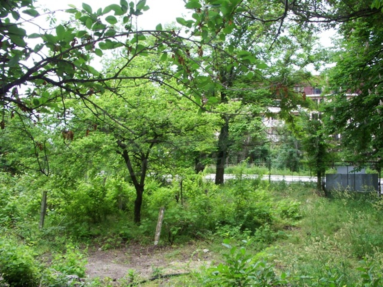 Gallery Picture 4