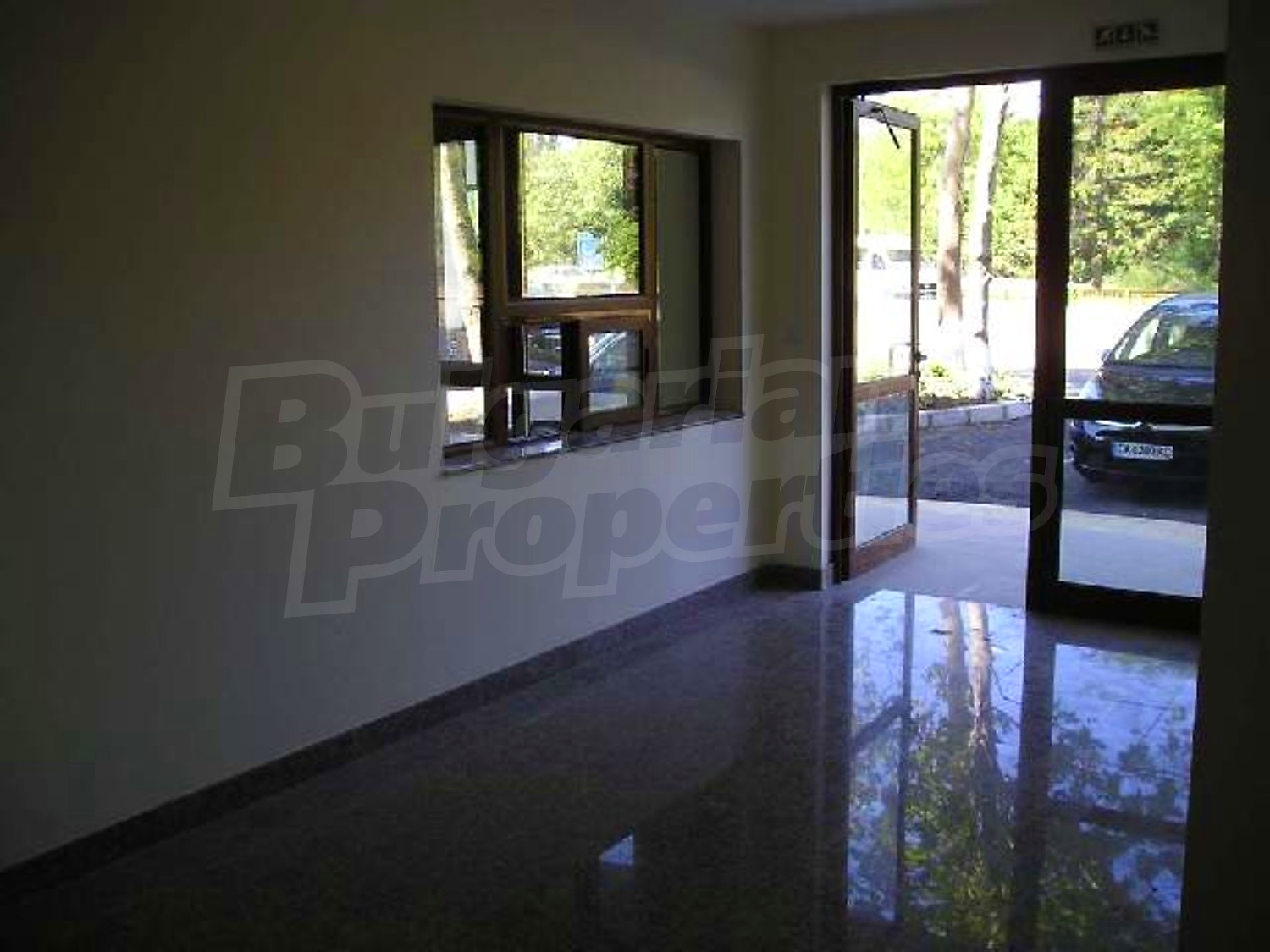 Gallery Picture 9