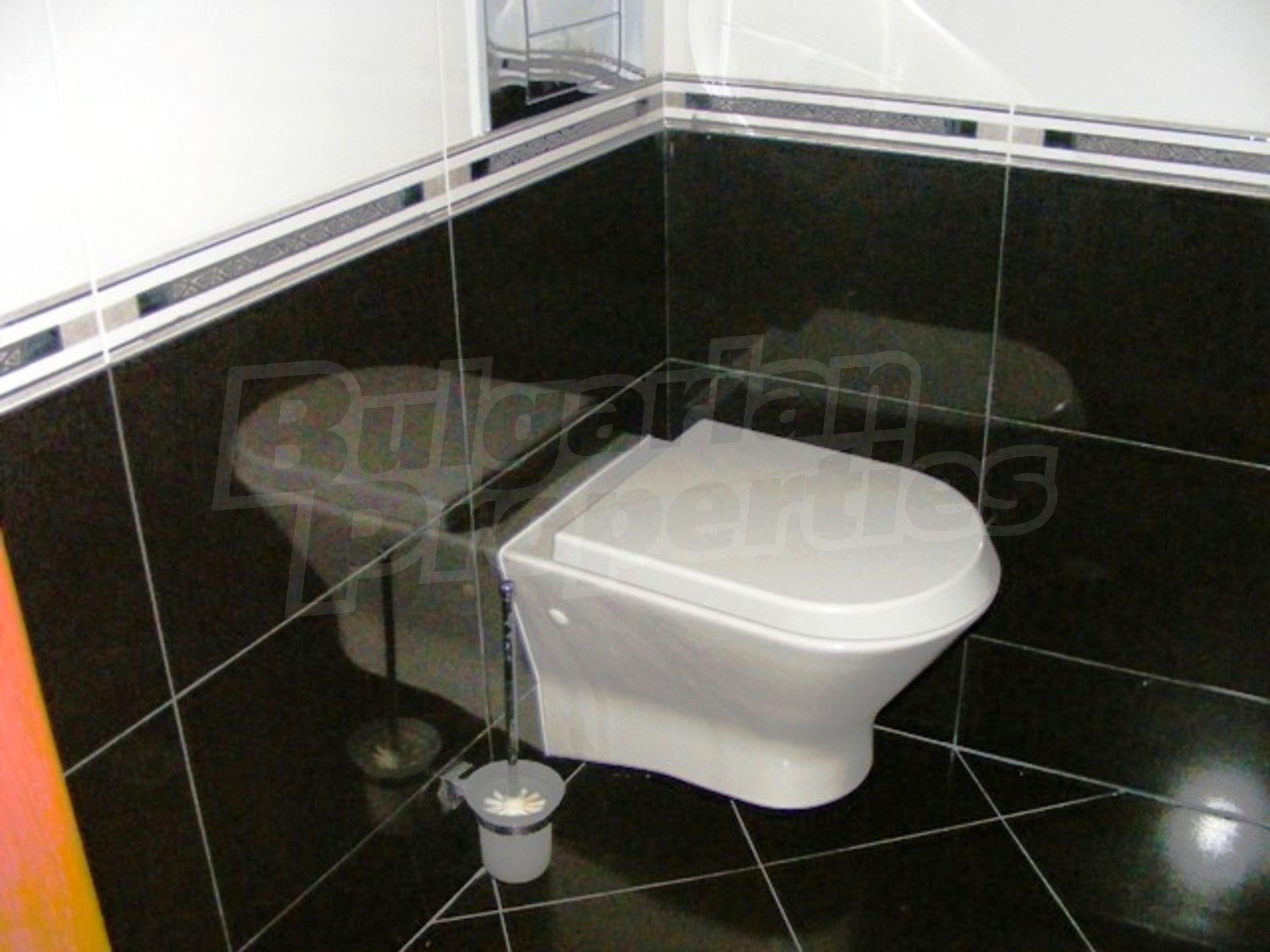 Gallery Picture 26